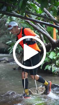 BIB:  <button type="button" onclick="openModal(27824724)" class="btn btn-primary btn-sm float-right" data-toggle="modal" data-target=".modal-high-quality">
                <i class="fa fa-download"></i> Download
                </button>